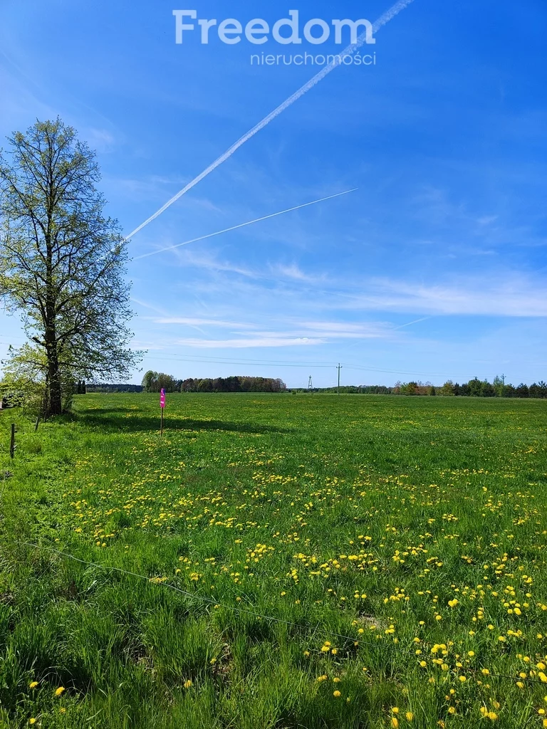 Działka 1 225,00 m², Dobrzyniówka, Sprzedaż