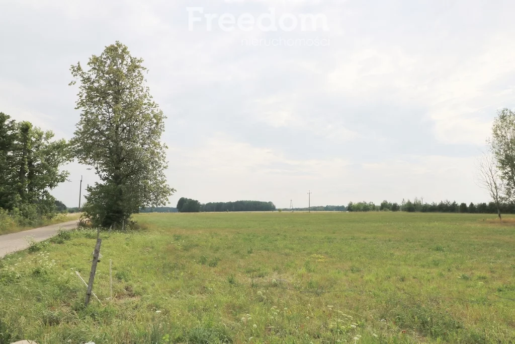 10956/3685/OGS - zdjęcie nr 1