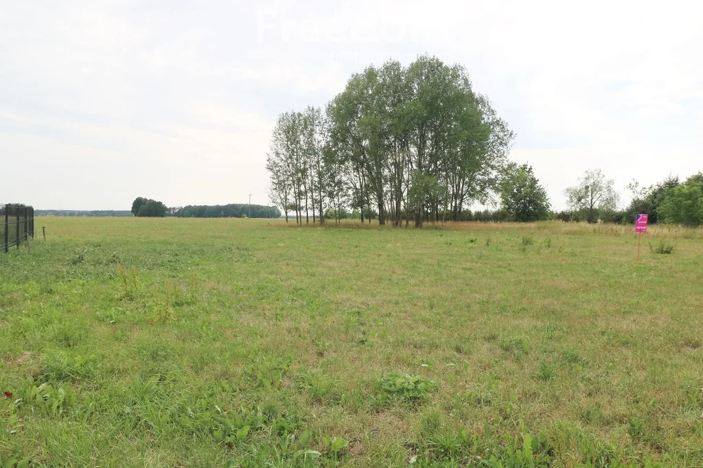 10956/3685/OGS - zdjęcie nr 4