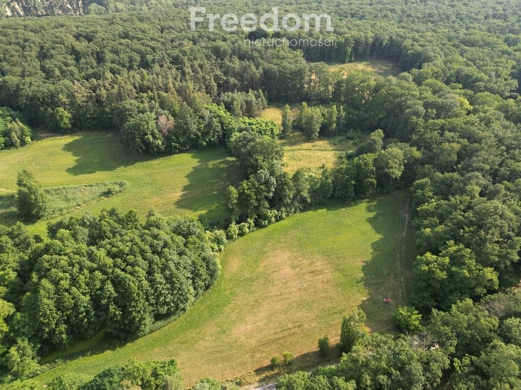 Działka 15 000,00 m², oferta nr , 8359/3685/OGS, Dolsk
