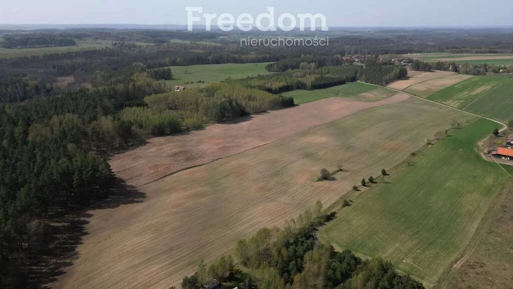 Działka 38 945,00 m², oferta nr , 10298/3685/OGS, Drwęck
