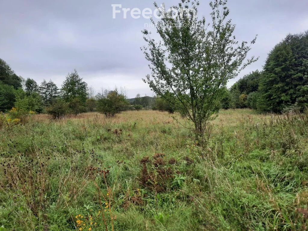 Apartamenty 10622/3685/OGS Durąg