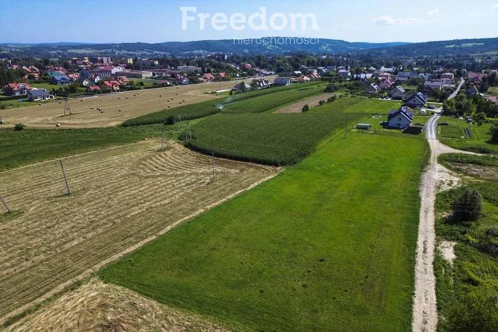 Działka 6 297,00 m², oferta nr , 11056/3685/OGS, Dynów