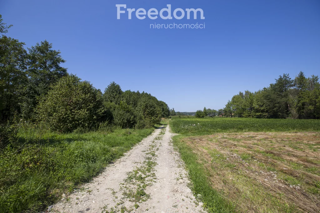 Działka 6 297,00 m², oferta nr , 11056/3685/OGS, Dynów