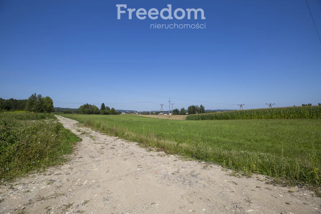 Działka 6 297,00 m², oferta nr , 11056/3685/OGS, Dynów