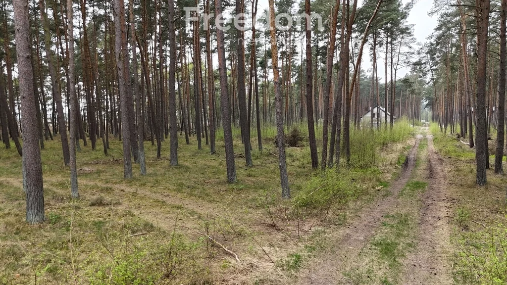 Działka 1 621,00 m², oferta nr , 10439/3685/OGS, Dziwnów