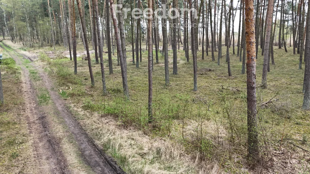 Działka 1 621,00 m², oferta nr , 10439/3685/OGS, Dziwnów
