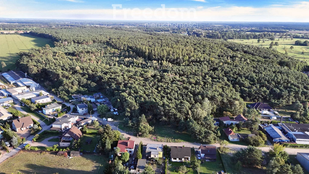 Apartamenty 11372/3685/OGS Rogalinek Fiedlera
