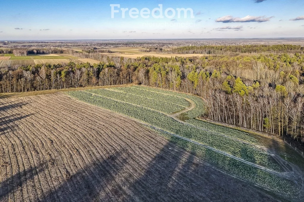 Działka 3 975,00 m², oferta nr , 10874/3685/OGS, Giedlarowa