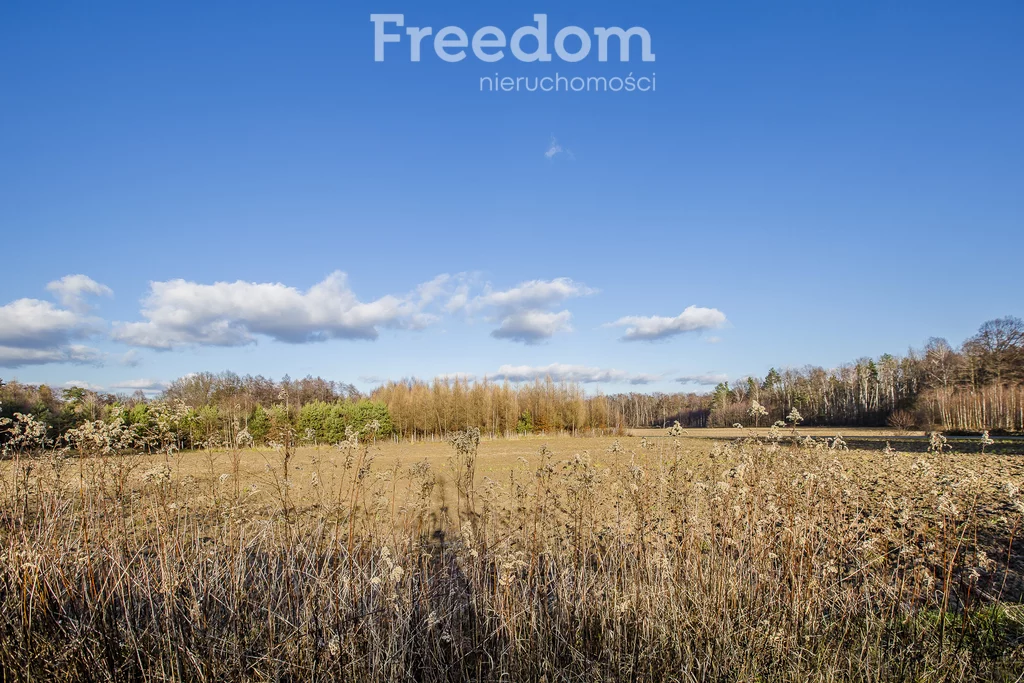 Działka 3 975,00 m², oferta nr , 10874/3685/OGS, Giedlarowa