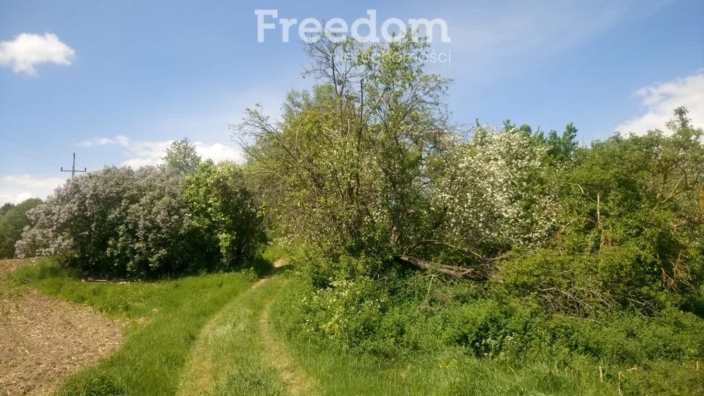 Działka 114 500,00 m², oferta nr , 11395/3685/OGS, Giławy