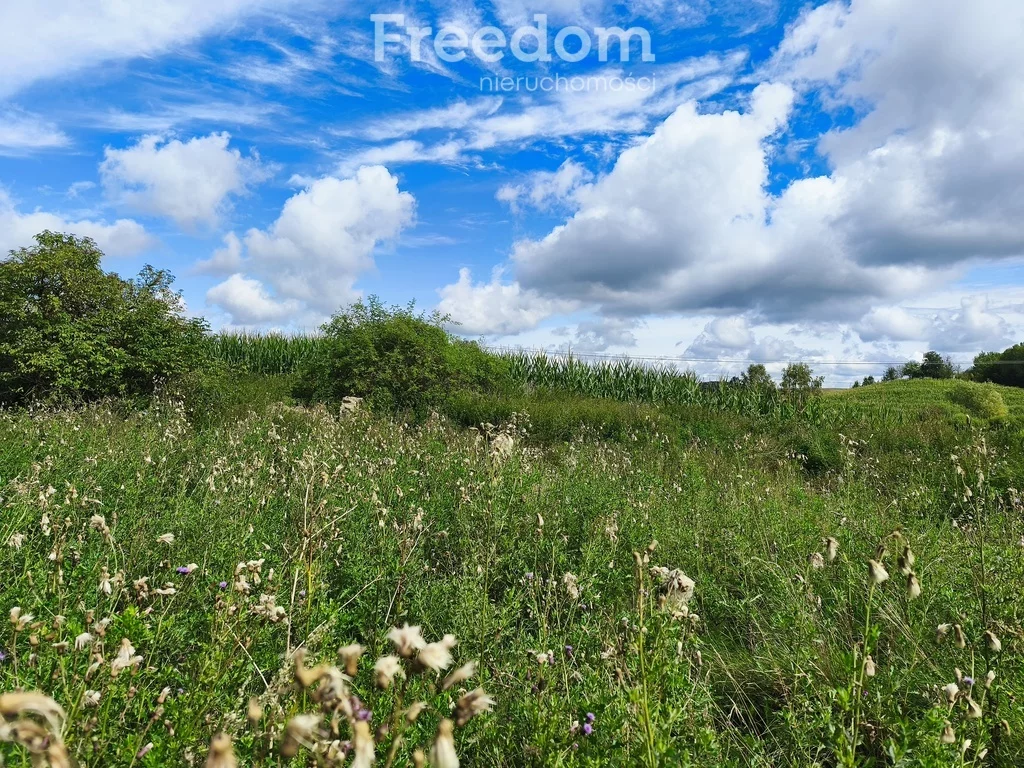 Działka 114 500,00 m², oferta nr , 11395/3685/OGS, Giławy