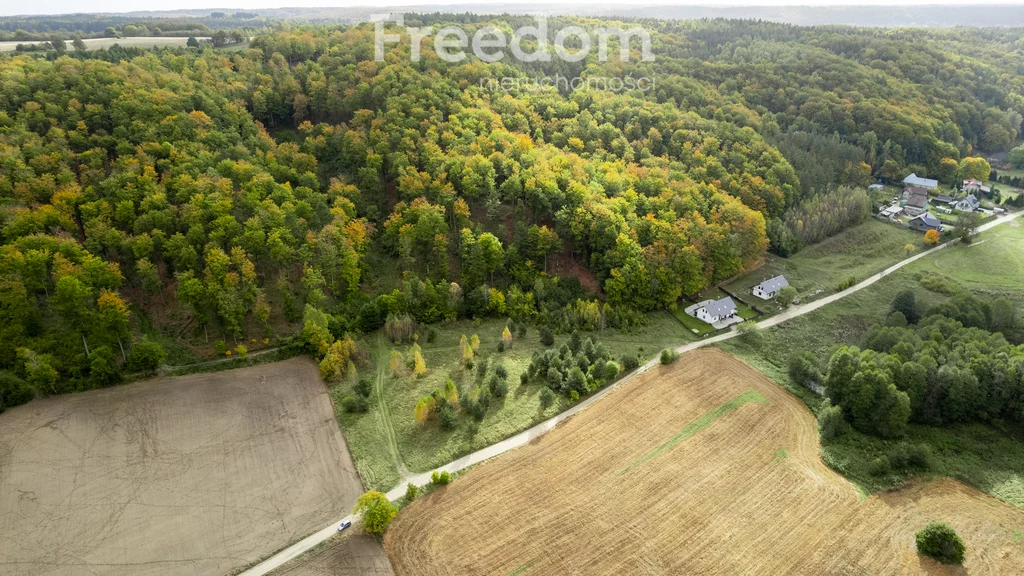 Działka 9 739,00 m², oferta nr , 9513/3685/OGS, Klonowo Dolne, Głęboka-idx