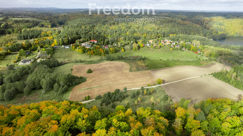 Działka 9 739,00 m², oferta nr , 10373/3685/OGS, Klonowo Dolne, Głęboka