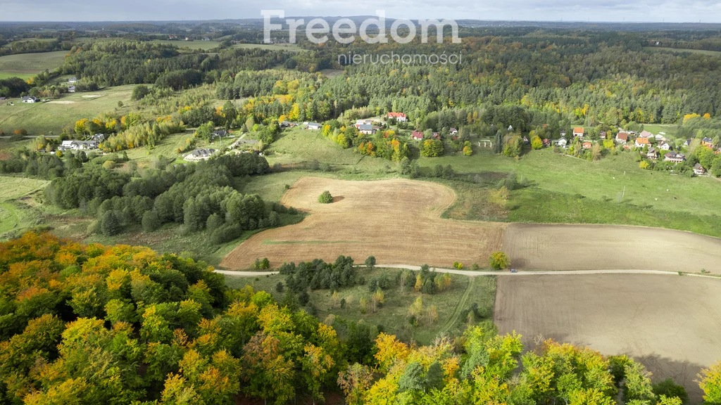 Działka 9 739,00 m², oferta nr , 10373/3685/OGS, Klonowo Dolne, Głęboka