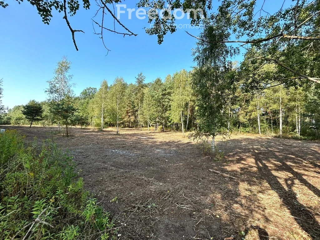 Apartamenty 11233/3685/OGS Glinianka