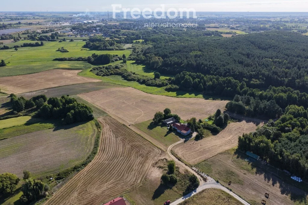 Apartamenty 11445/3685/OGS Gniezno