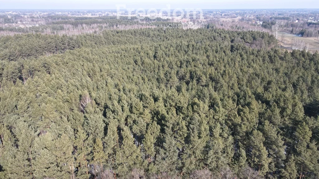 Działka 10 100,00 m², oferta nr , 10028/3685/OGS, Górki