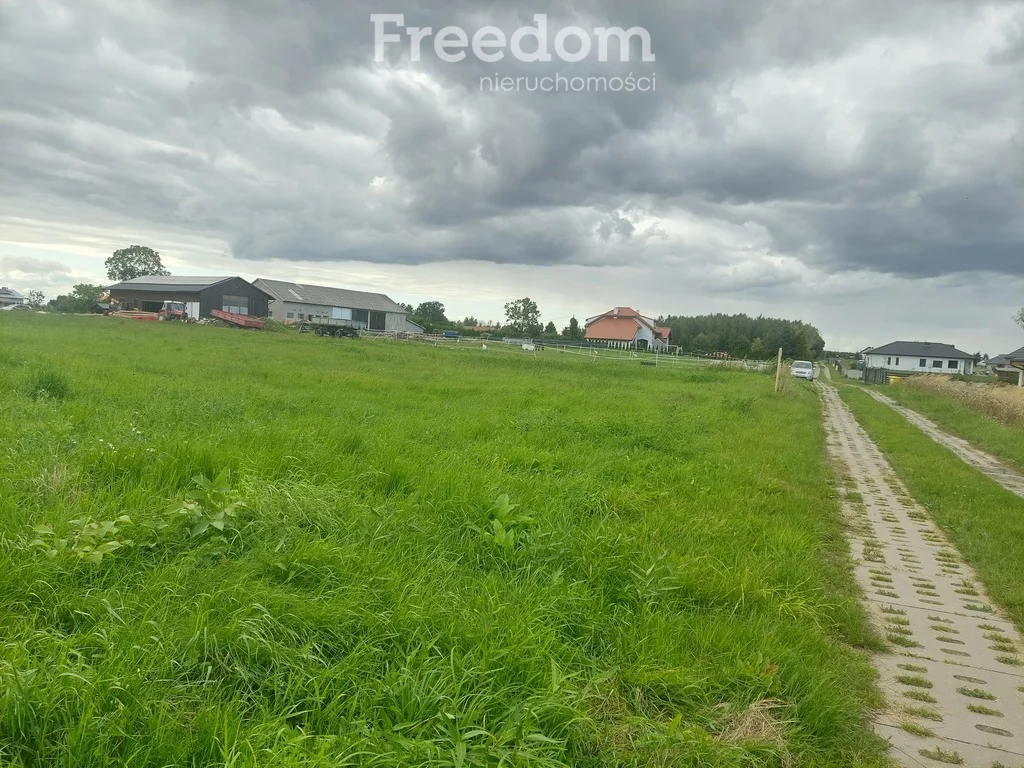 11012/3685/OGS - zdjęcie nr 1