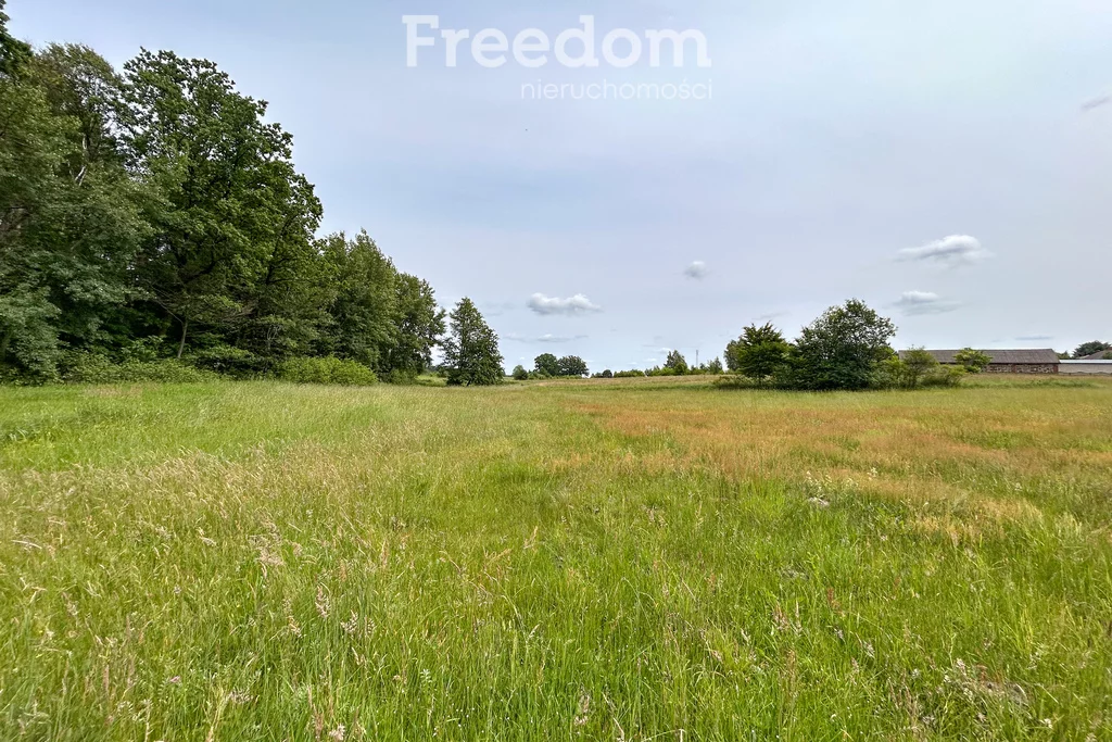 Działka 4 762,00 m², oferta nr , 10689/3685/OGS, Grabniak