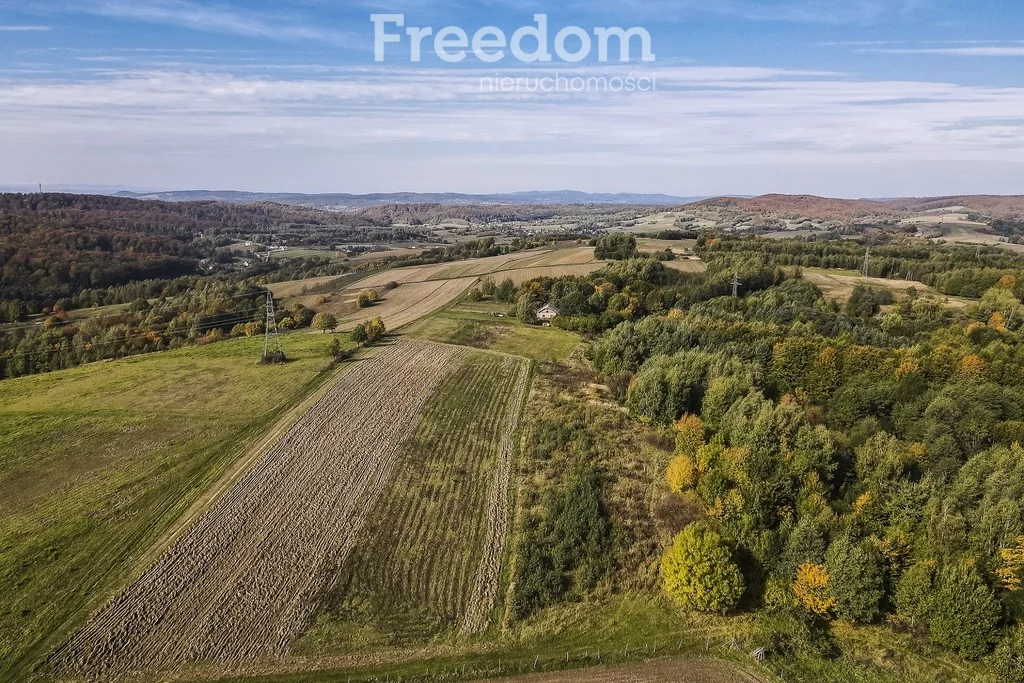 Działka 4 400,00 m², Grabówka, Sprzedaż