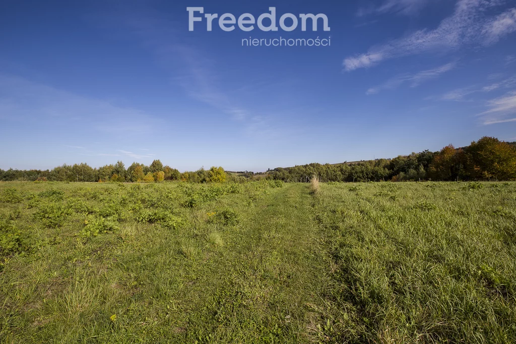 Apartamenty 10631/3685/OGS Grabówka
