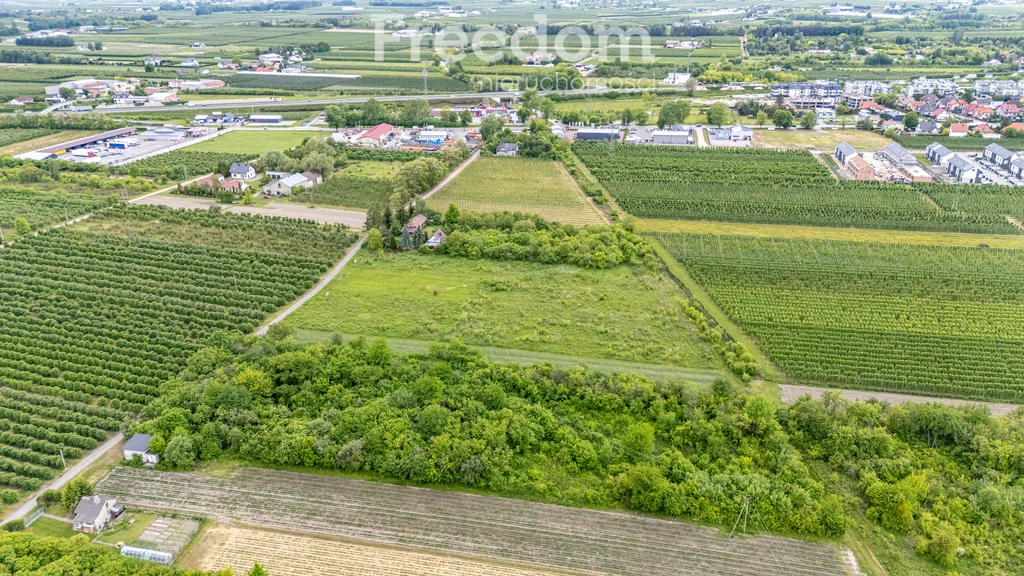 11090/3685/OGS - zdjęcie nr 4