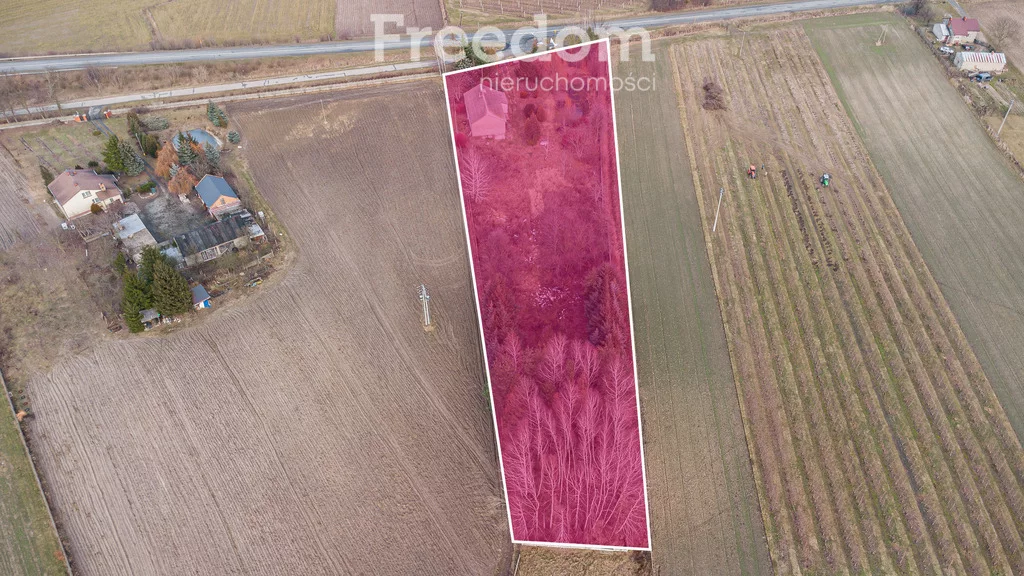 Działka 6 552,00 m², oferta nr , 9905/3685/OGS, Badowo-Dańki, Grójecka