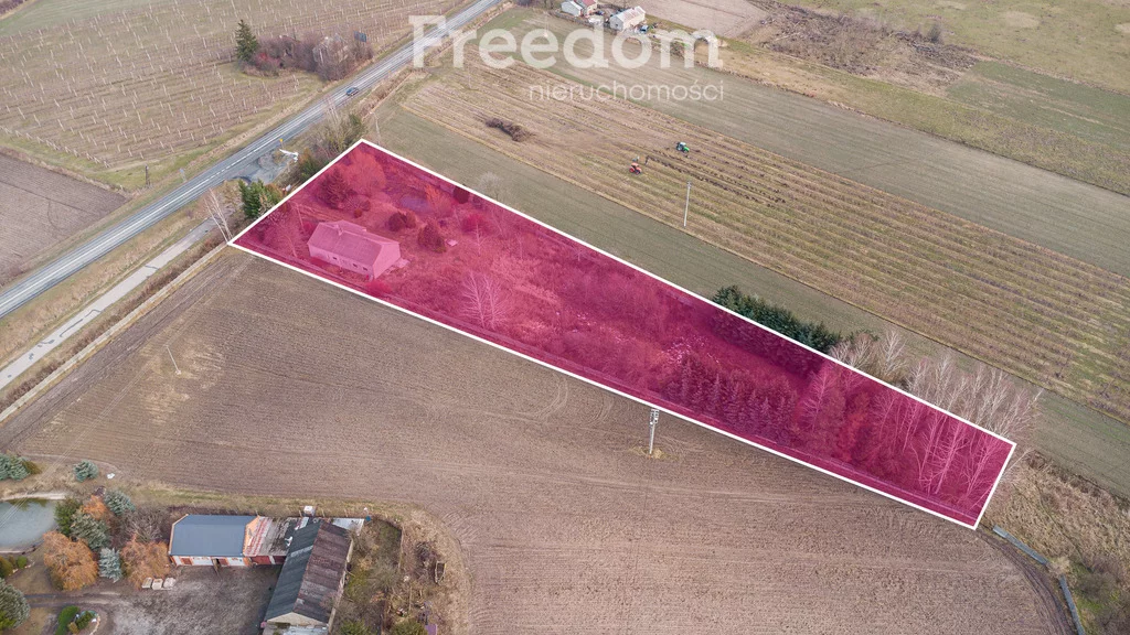 Działka 6 552,00 m², oferta nr , 9905/3685/OGS, Badowo-Dańki, Grójecka
