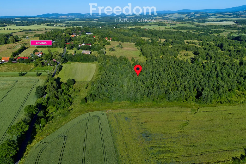 Działka 3 000,00 m², oferta nr , 10891/3685/OGS, Grudza