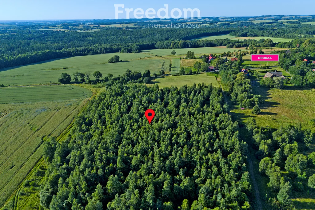Działka 3 000,00 m², oferta nr , 10891/3685/OGS, Grudza