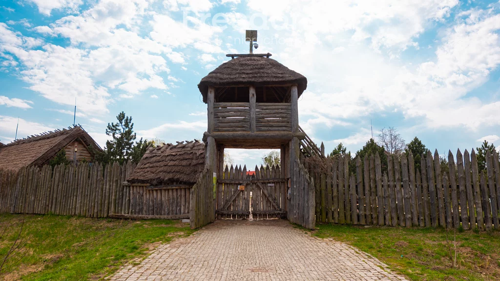 Działka 1 439,00 m², oferta nr , 10468/3685/OGS, Pruszcz Gdański, Grunwaldzka