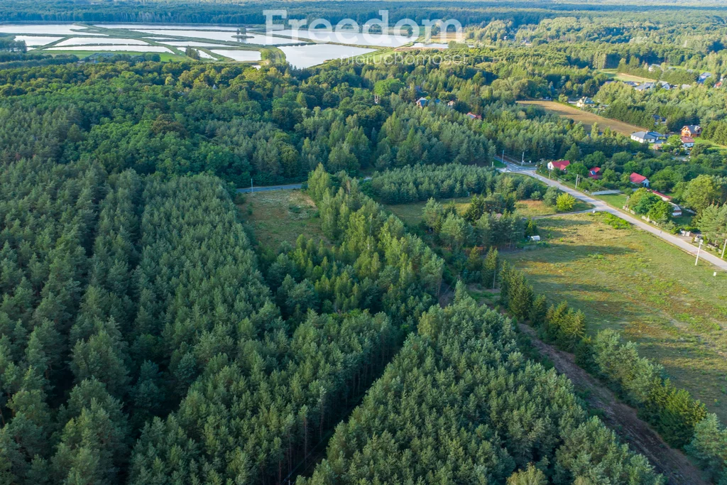 Działka 4 906,00 m², oferta nr , 11033/3685/OGS, Grzegorzewice