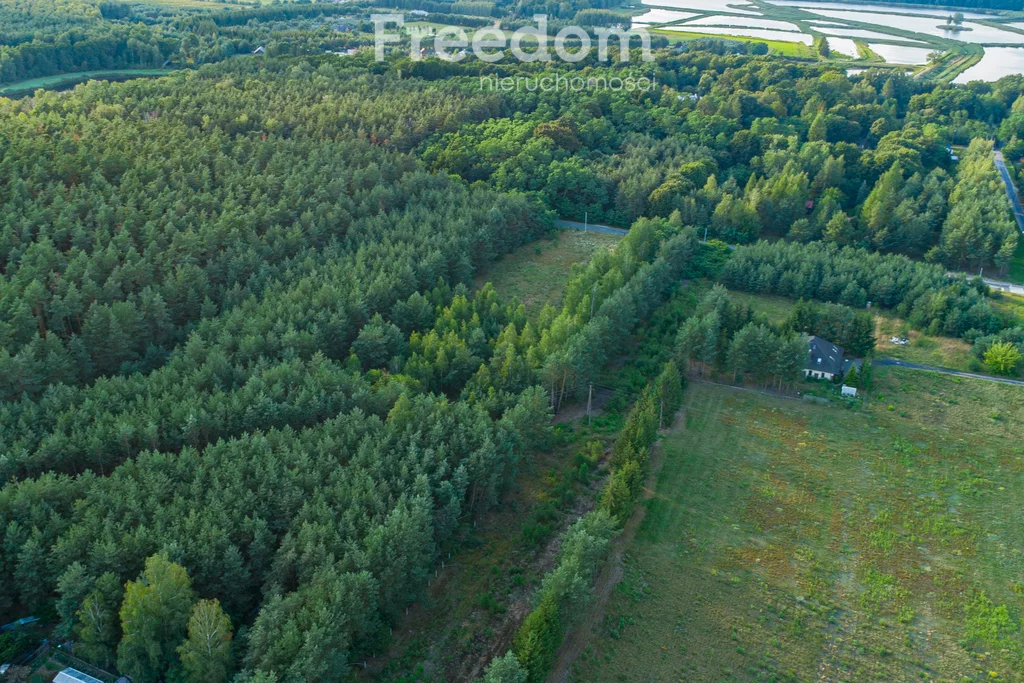 Działka 4 906,00 m², oferta nr , 11033/3685/OGS, Grzegorzewice