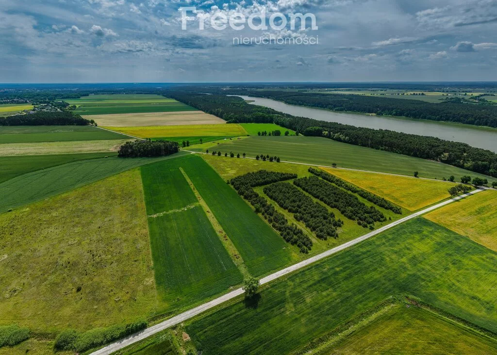 10663/3685/OGS - zdjęcie nr 1