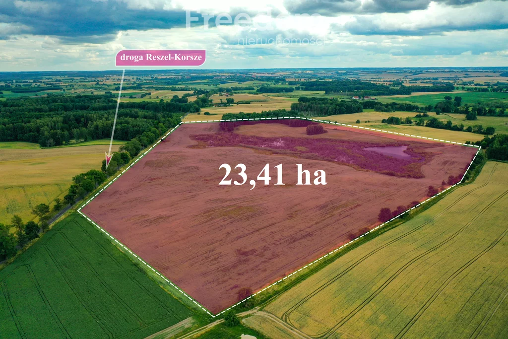 Działka 234 100,00 m², Gudniki, Sprzedaż