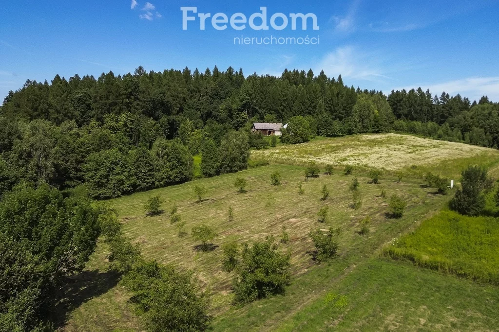 Apartamenty 11028/3685/OGS Hadle Kańczuckie