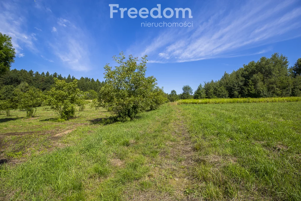 Działka 3 331,00 m², oferta nr , 11028/3685/OGS, Hadle Kańczuckie