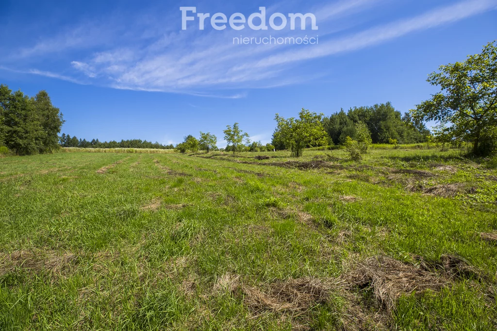 Działka 3 331,00 m², oferta nr , 11028/3685/OGS, Hadle Kańczuckie