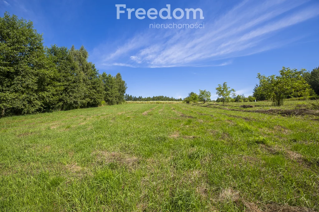 Działka 3 331,00 m², oferta nr , 11028/3685/OGS, Hadle Kańczuckie