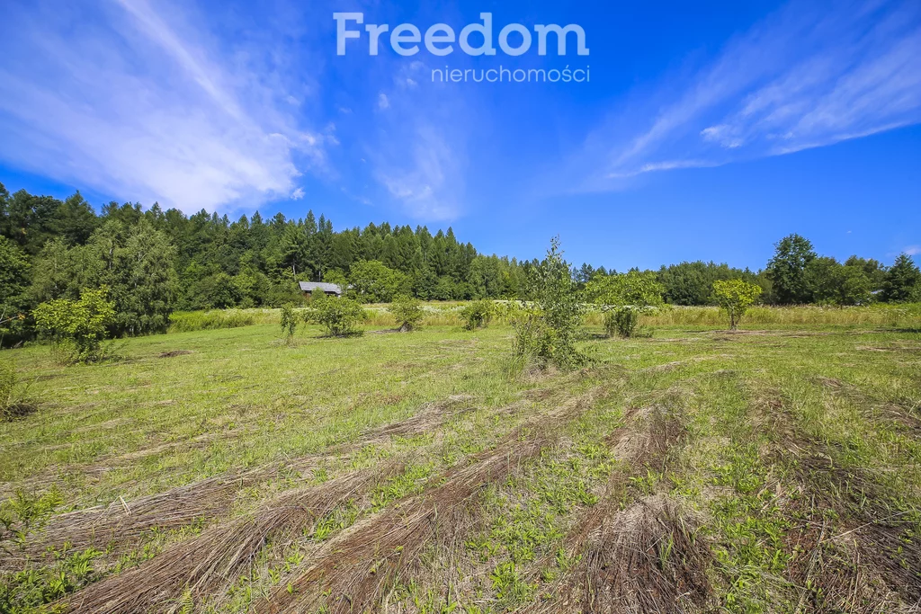 Działka 3 331,00 m², oferta nr , 11028/3685/OGS, Hadle Kańczuckie