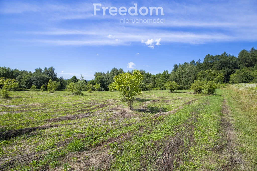 Działka 3 331,00 m², oferta nr , 11028/3685/OGS, Hadle Kańczuckie