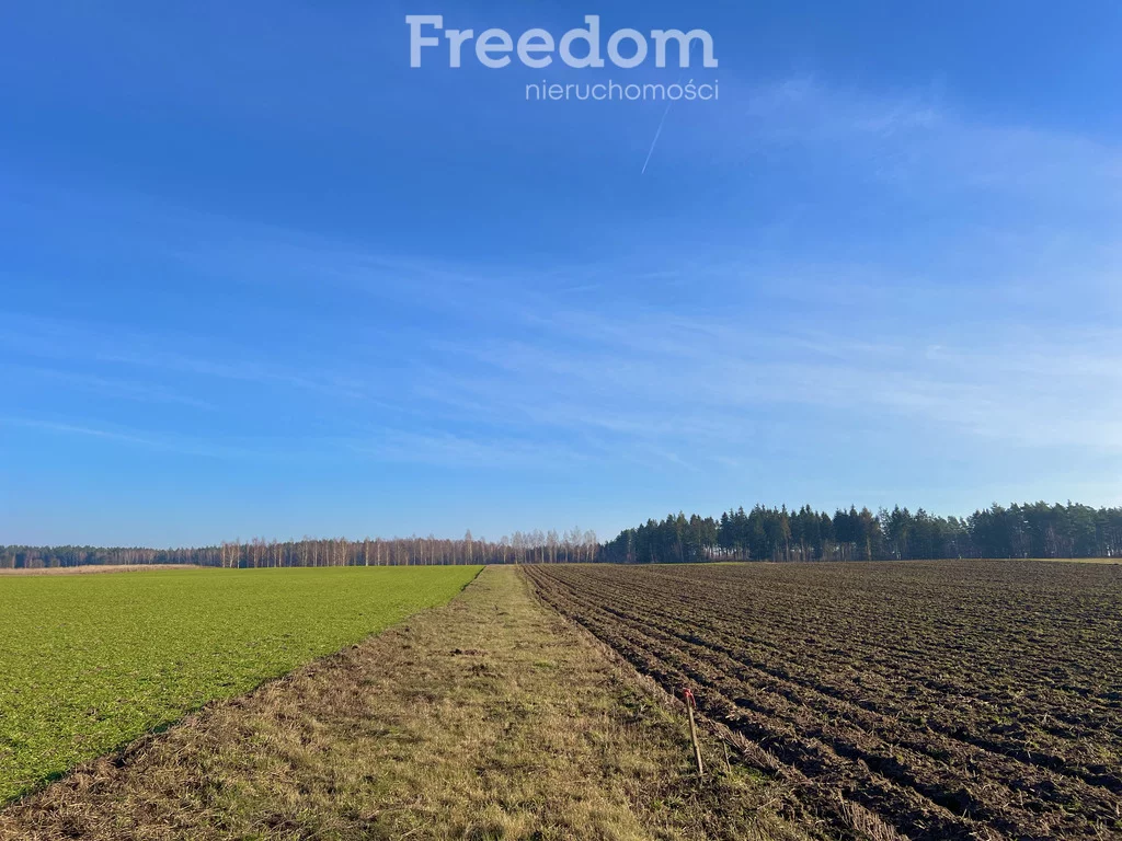 Działka 2 518,00 m², oferta nr , 9877/3685/OGS, Harsz