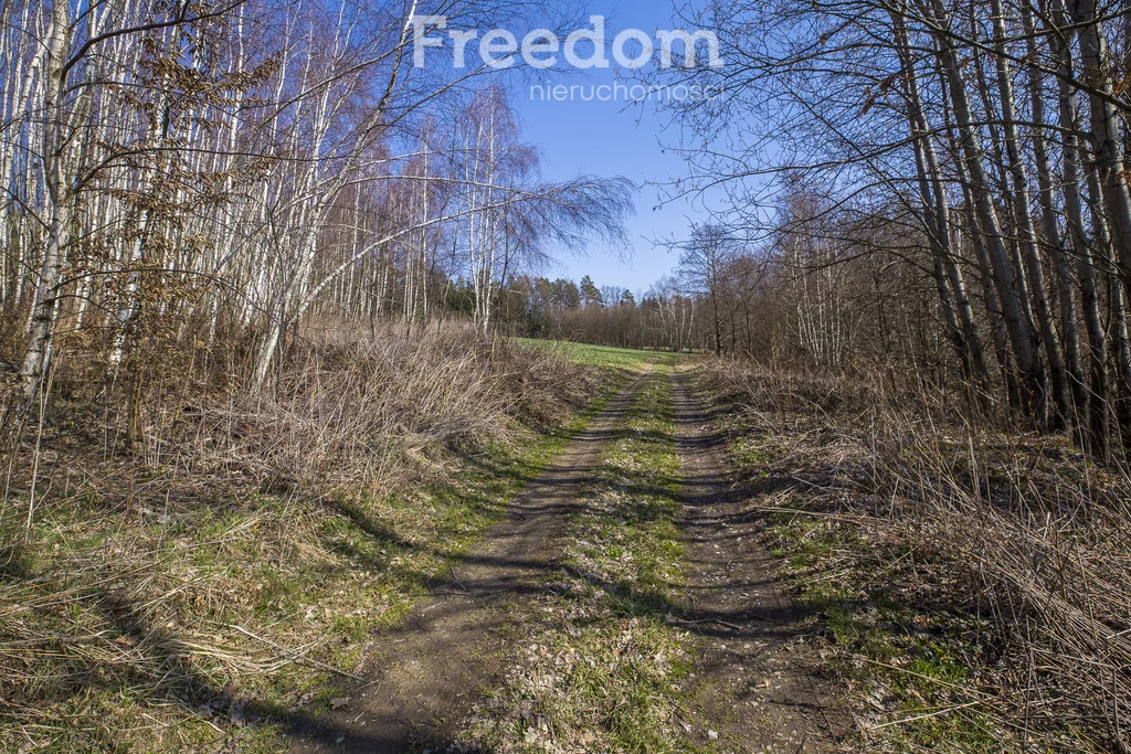 Działka 4 649,00 m², oferta nr , 10229/3685/OGS, Harta