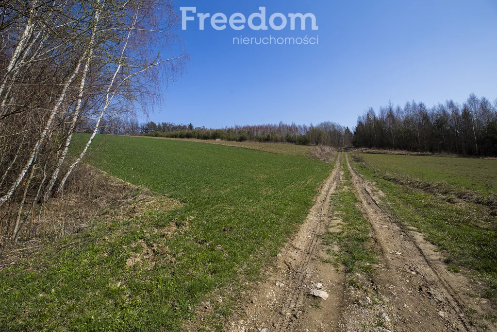 Działka 4 649,00 m², oferta nr , 10229/3685/OGS, Harta