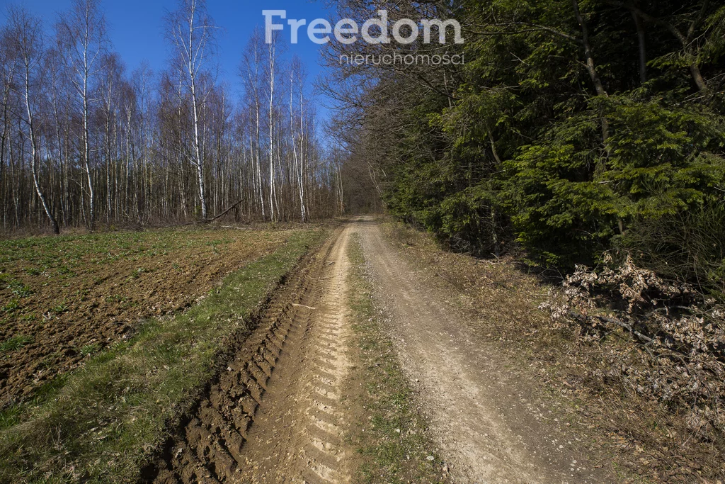 Działka 4 649,00 m², oferta nr , 10229/3685/OGS, Harta