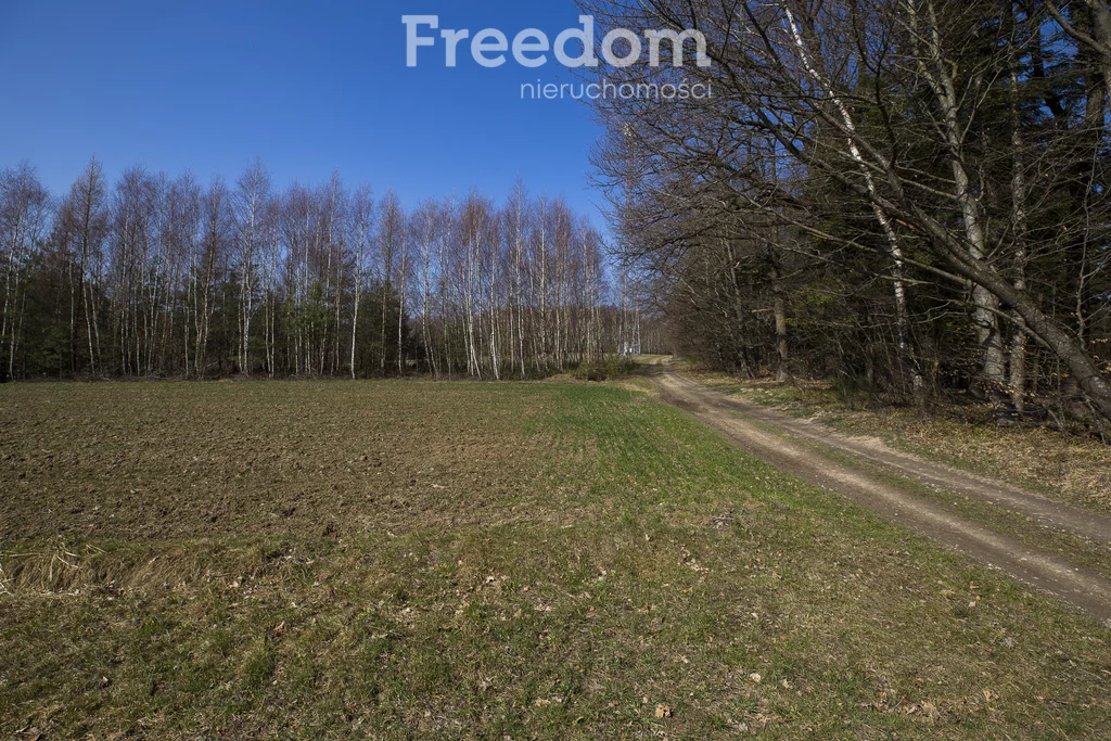 Działka 3 317,00 m², oferta nr , 10228/3685/OGS, Harta