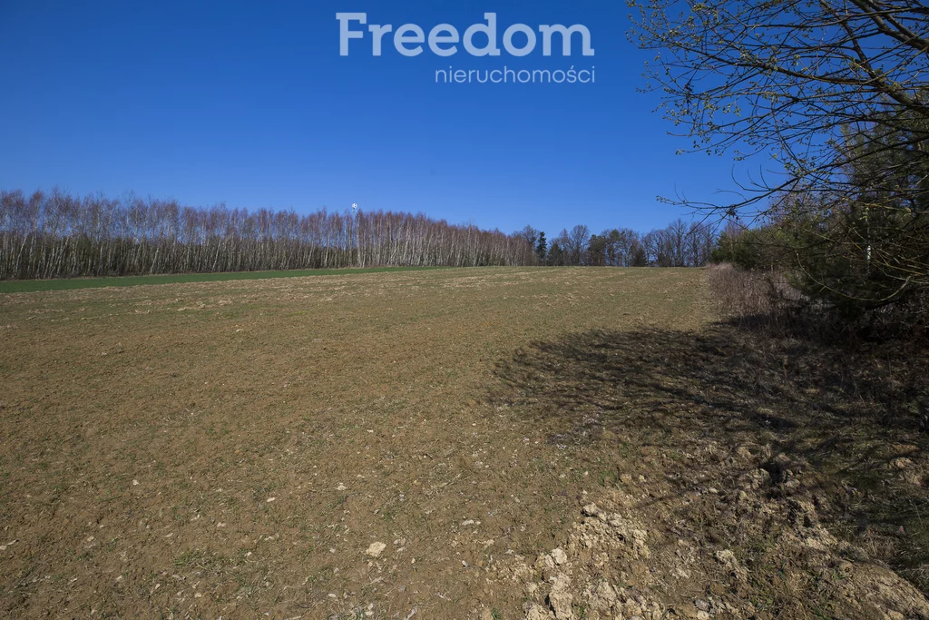 Działka 3 317,00 m², oferta nr , 10228/3685/OGS, Harta