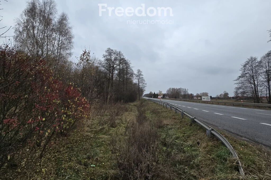 Działka 49 600,00 m², oferta nr , 9129/3685/OGS, Horbów-Kolonia