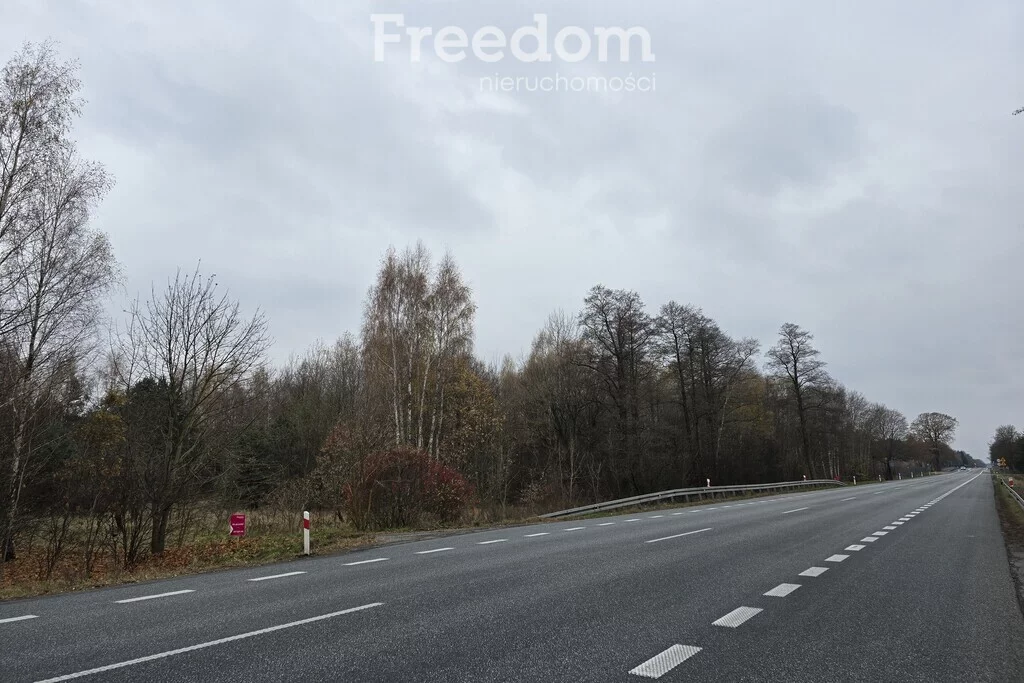Działka 49 600,00 m², oferta nr , 9129/3685/OGS, Horbów-Kolonia